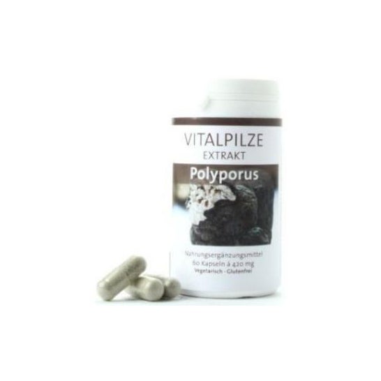 Pilze Wolhrab Polyporus 60 caps