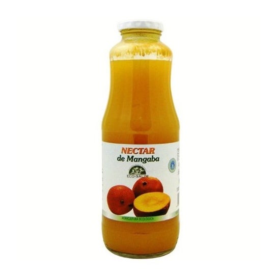 Int-Salim Zumo Mango Mangaba Eco 1000ml