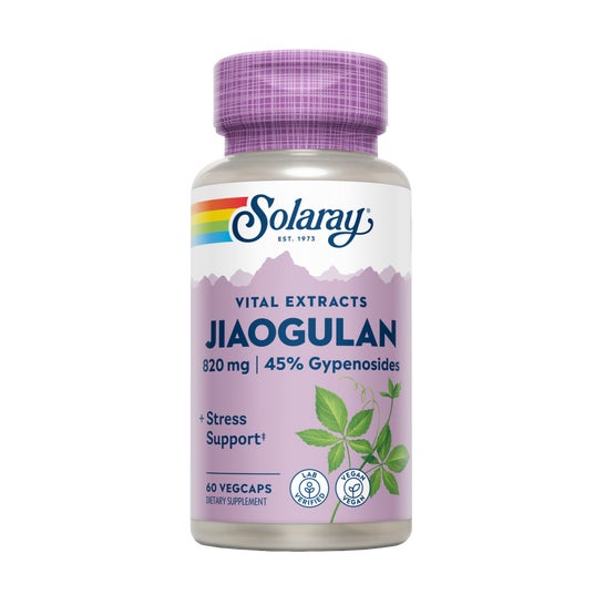 Solaray Jiaogulan 60 caps