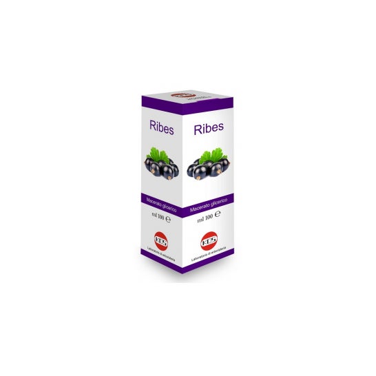 GROSELLA NEGRA NIGRUM MG 100 ml GTT