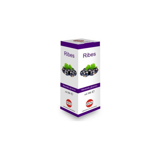 GROSELLA NEGRA NIGRUM MG 100 ml GTT