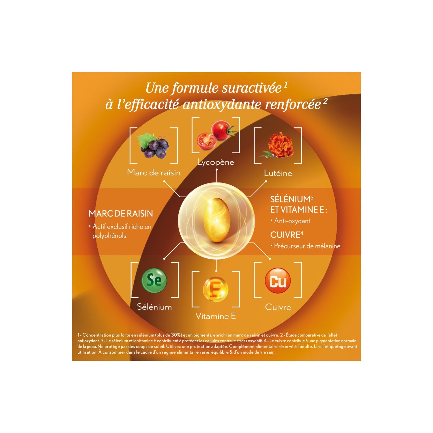 Oenobiol Sun Expert Preparador Solar 30caps