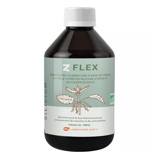 Mint-E Health Z-Flex Eco 500ml
