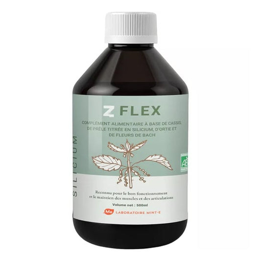 Mint-E Health Z-Flex Eco 500ml