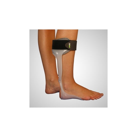 Ortec Antiequino Media Planta Derecho TL AFO100 1 ud