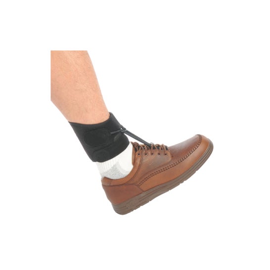 Orliman Antiequino Boxia 21-25 cm