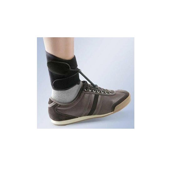 Orliman Antiequino Boxia 21-25 cm