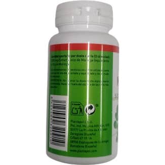 Moringa Forte Plantapol 60 Cápsulas