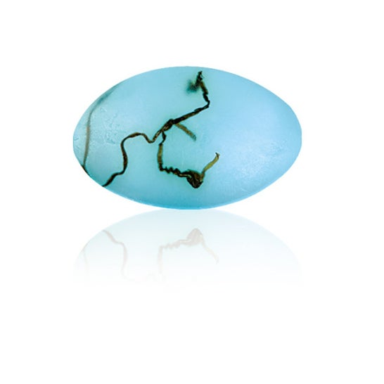 Energy Jabón glicerina Spa 90 g