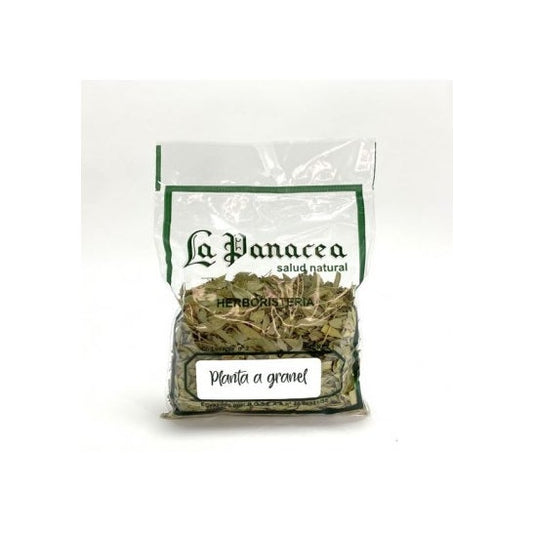 La Pastorcilla Cardo Mariano 50 g