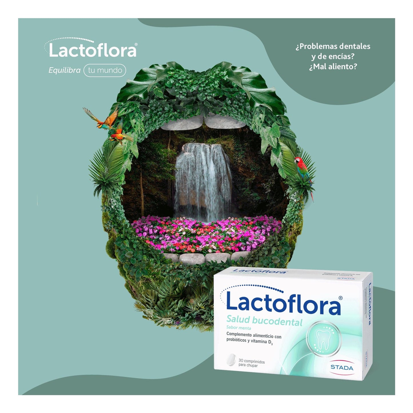 Lactoflora Salud Bucodental Sabor Menta 30comp