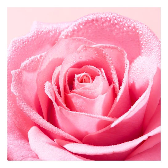 Nuxe Very Rose Agua Micelar Desmaquillante Calmante 200 ml