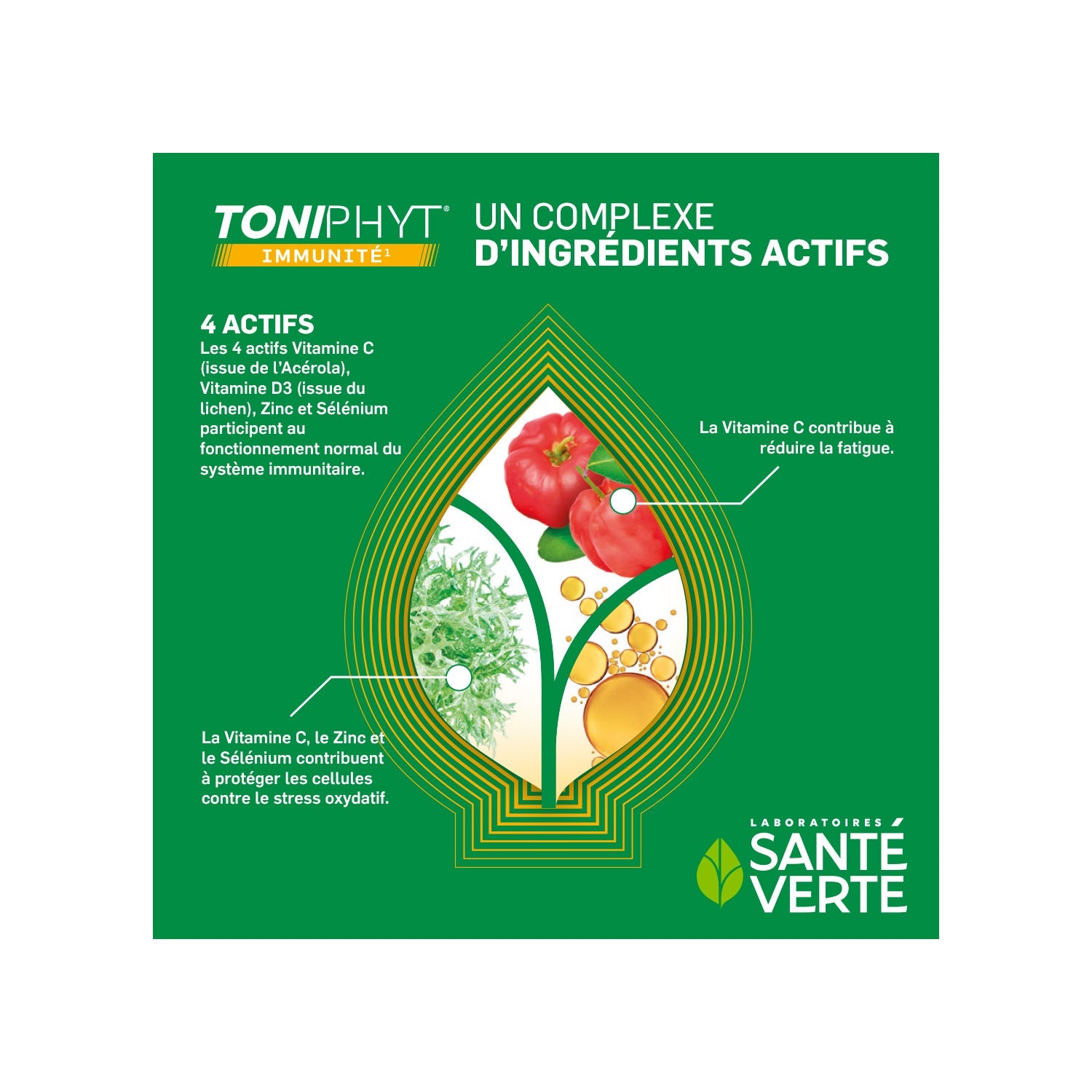 Santé Verte Toniphyt Inmunidad 30 comp