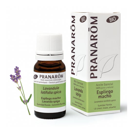 Pranarôm Aceite Esencial de Espliego Macho BIO 10ml