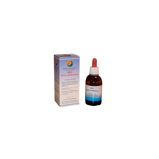 Herboplanet Msa Betula Pubencens 50ml