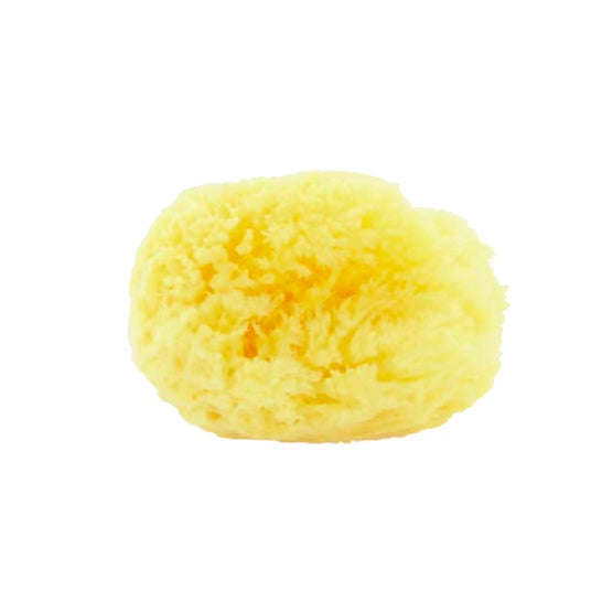 Biemmefarma Esponja Mar Natural M 1ud