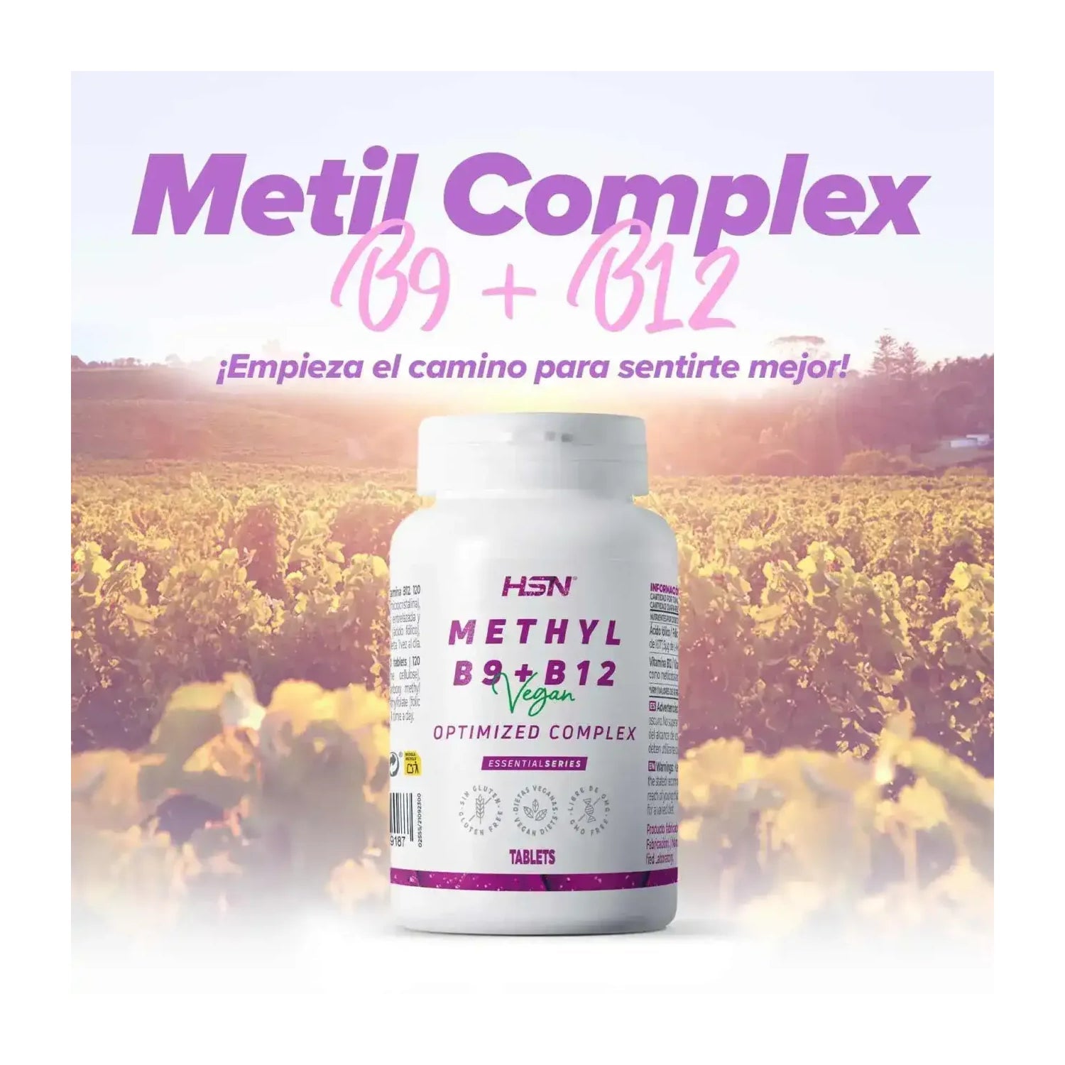 HSN Metil Complex B9 + B12 120comp