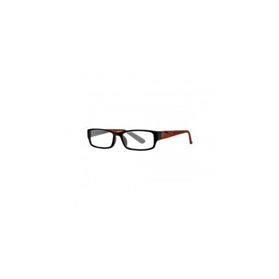 Nordic Vision modelo Koping color negro y marrón dioptrías +2,50 1ud