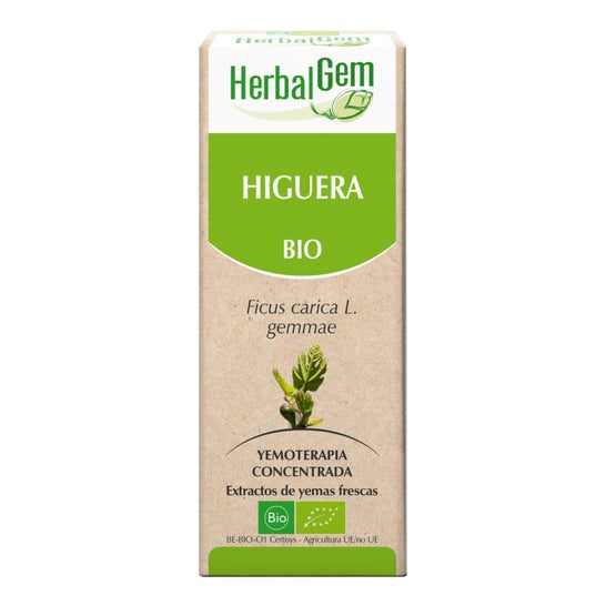 Herbalgem Higuera Bio 15ml