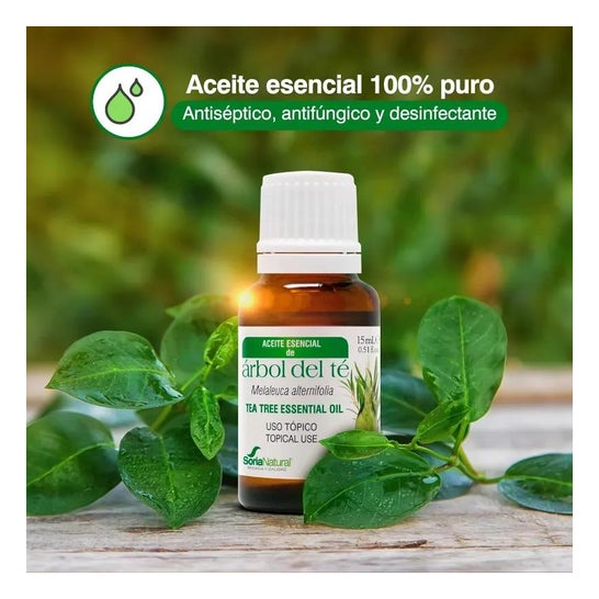 Aceite Esencial Arbol Del Te Soria Natural 15ml