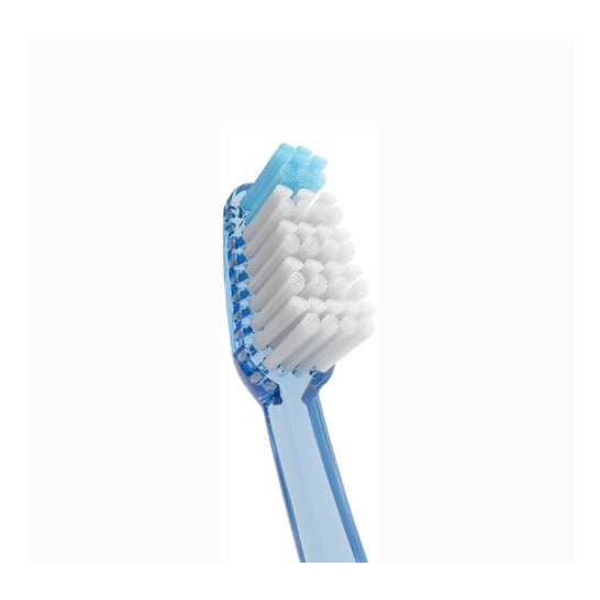 Vitis Medio Cepillo Dental