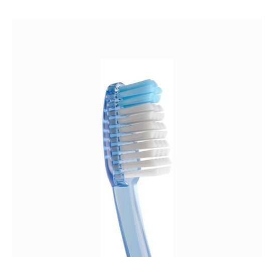 Vitis Medio Cepillo Dental