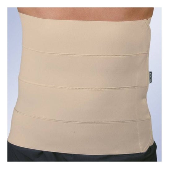 Orliman Faja 2 Bandas 70-90cm