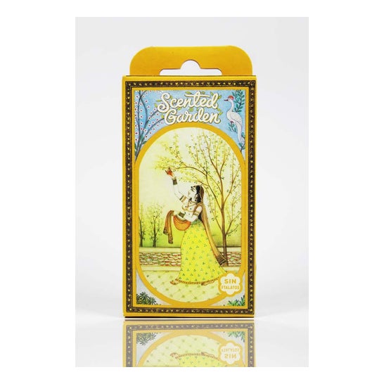 Radhe Shyam Incienso Scented Garden Rosa Cono 12uds