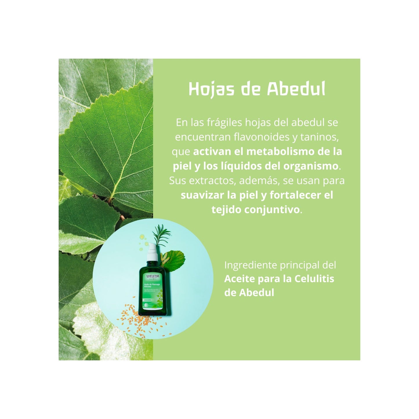 Weleda Pearl Scrub Exfoliante Corporal de Abedul 150ml
