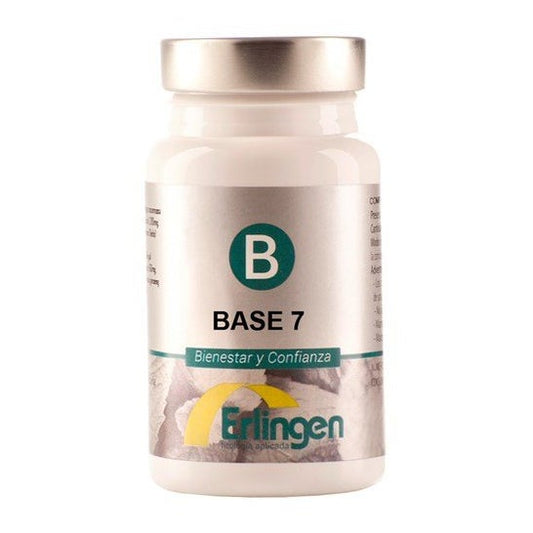 Erlingen Base 07 60 comp