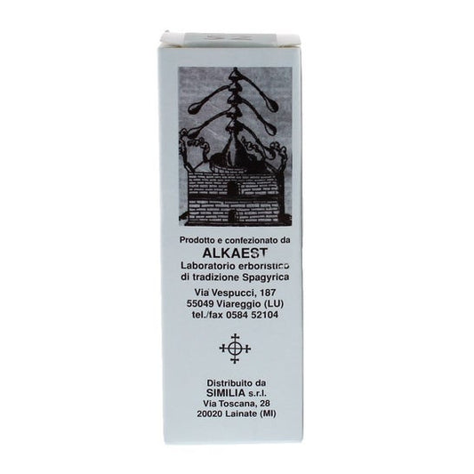 Alkaest mgs7 Higo macerado Glicérico Spg 20ml
