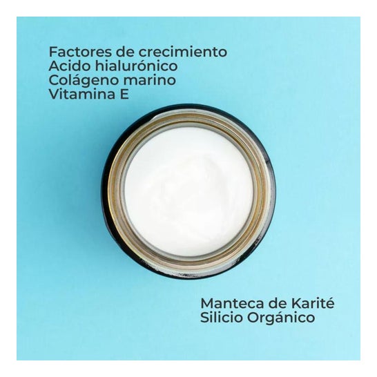 Segle Skin Factor Creme 50ml