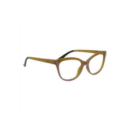 Loring Gafas Sunset +1.50 2022 1ud