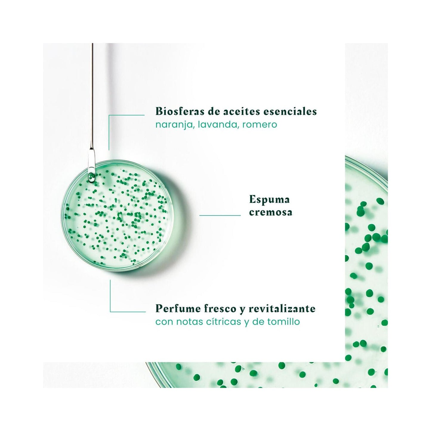 René Furterer Forticea Champú Fortalecedor y Revitalizante 600 ml
