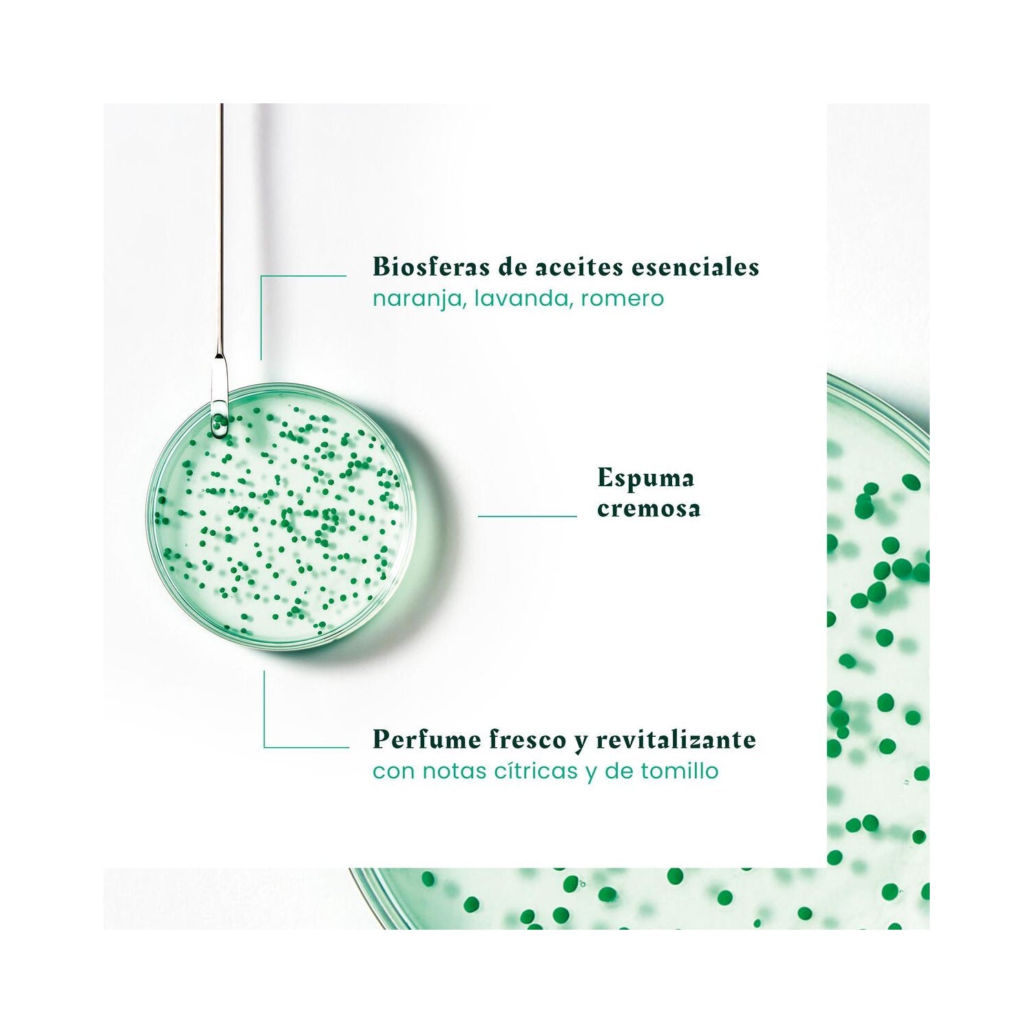 René Furterer Forticea Champú Fortalecedor y Revitalizante 600 ml