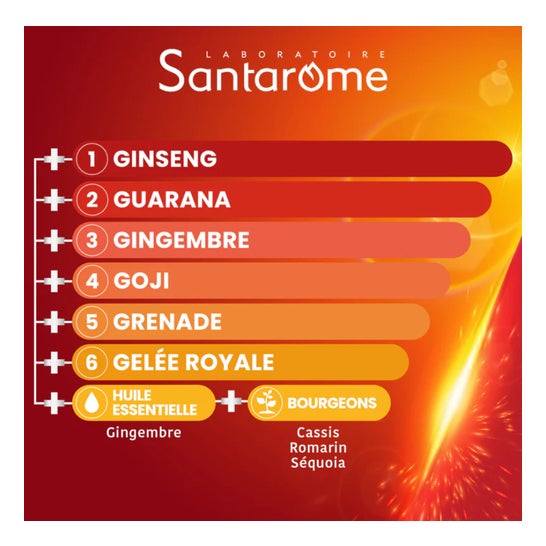 Santarome Vita'Max Booster 6 g Énergie Immédiate Orange 20x10 ml