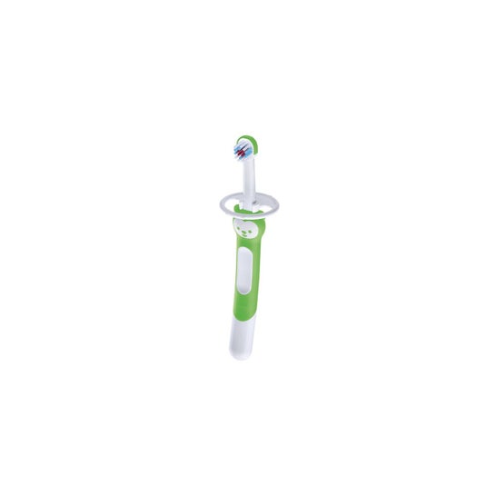 MAM Baby Cepillo Dental Infantil Aprendizaje Training Brush 5+M Verde 1 Ud