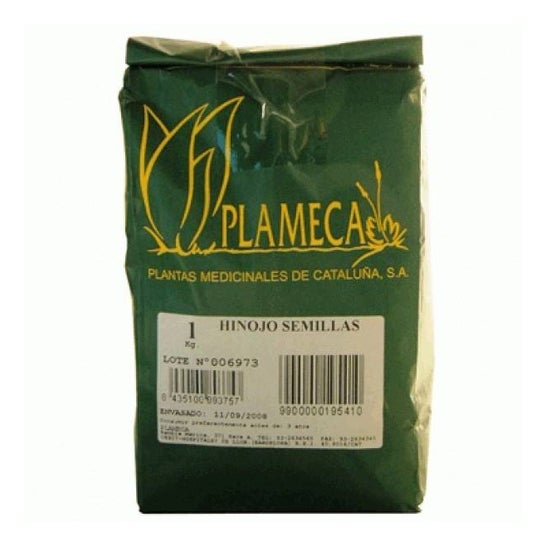 Plameca Hinojo Semillas 1Kg