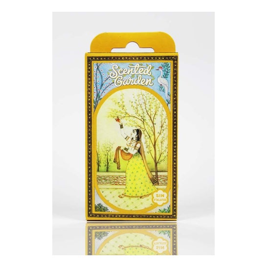 Radhe Shyam Eucalipto Cono Incienso Scented Garden 12uds