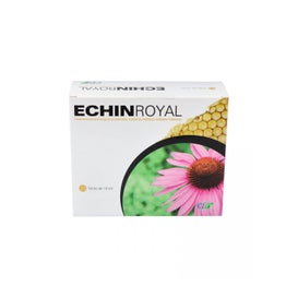 Cfn Echina Royal Sticks 20 X10 ml
