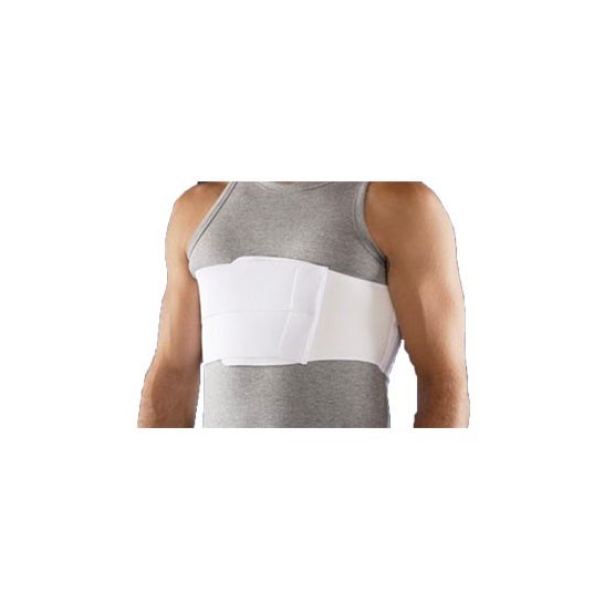 Intex faja torácica femenina 2 bandas