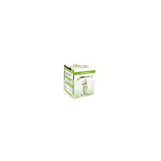 Ergonat Melisasomne Phytogranulos 45caps