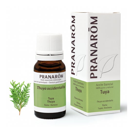 Pranarôm Aceite Esencial de Tuya 10ml
