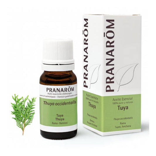 Pranarôm Aceite Esencial de Tuya 10ml
