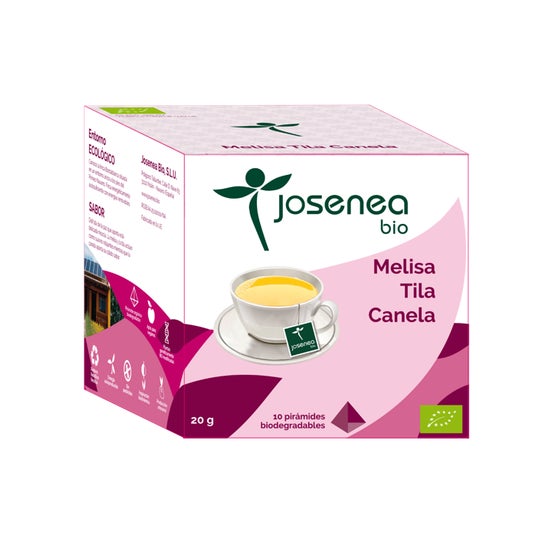 Josenea Melisa Tila Canela BIO 10 pirámides en sobre