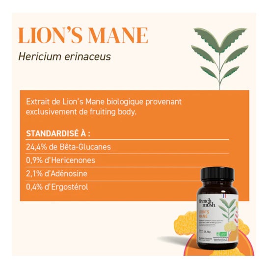 French Mush Lion's Mane Polvo Bio 30g
