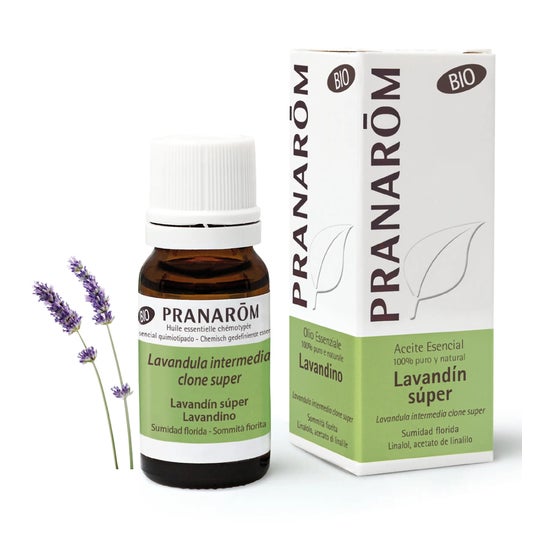 Pranarôm Aceite Esencial de Lavandín Súper BIO 10 ml