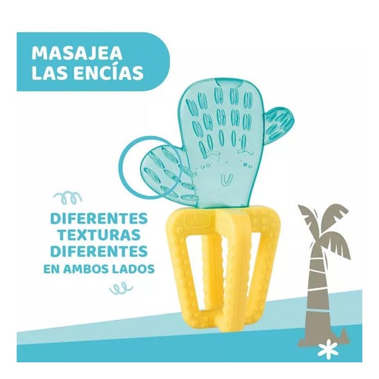 Chicco Mordedor Refreshing Cactus 1ud