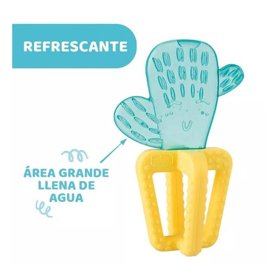 Chicco Mordedor Refreshing Cactus 1ud