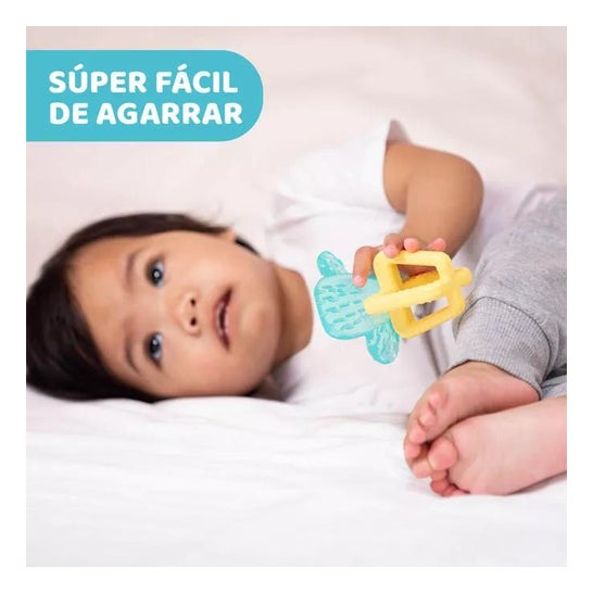 Chicco Mordedor Refreshing Cactus 1ud